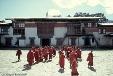 1114_bhutan_1994__Gangtey Gompa in Wangdiphodang.jpg